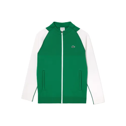 Свитеры для мужчин LACOSTE Collaboration зеленого цвета