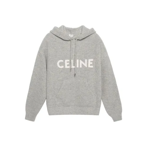 Celine Серые Мужские Свитера