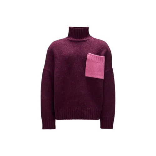 JW Anderson Фуксия Мужские Свитера