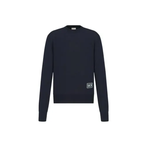 DIOR Quarterly New Products Синий Мужской Свитеры