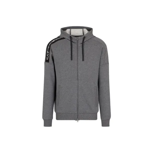 EMPORIO ARMANI EA7 FW24 Толстовка Мужской Темно-Серый