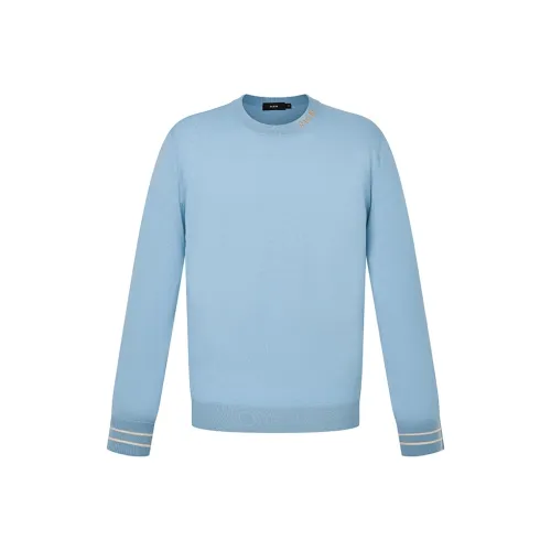 RARE Синий Мужской Свитеры