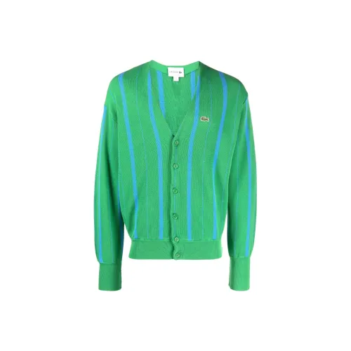 LACOSTE Зеленые Мужские Свитера