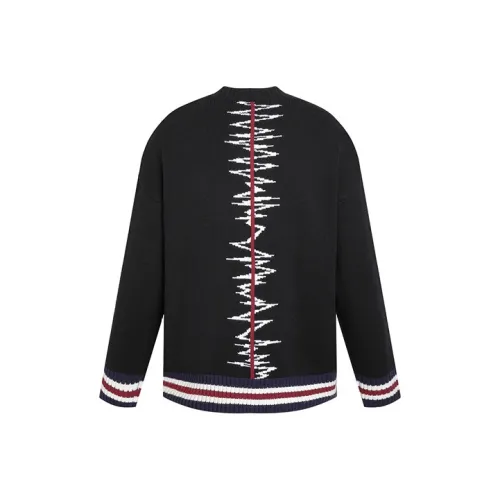 LIUREGALI Черный Унисекс Свитеры