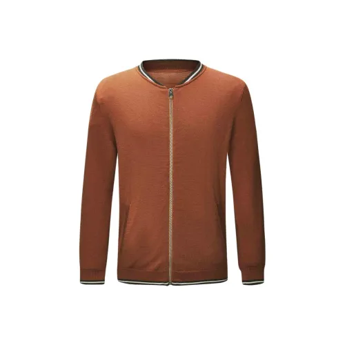 BY CREATIONS Мужские Свитера