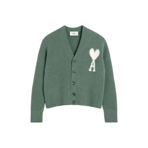 AMIPARIS Зеленый Унисекс Свитеры
