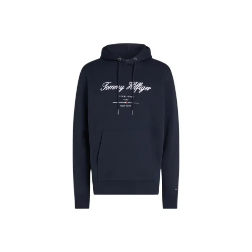 Tommy Hilfiger Свитшот Мужской Синий