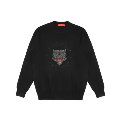 Raidy Boer Мужские Свитера