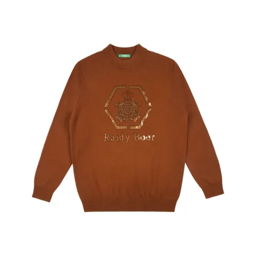 Raidy Boer Мужские Свитера