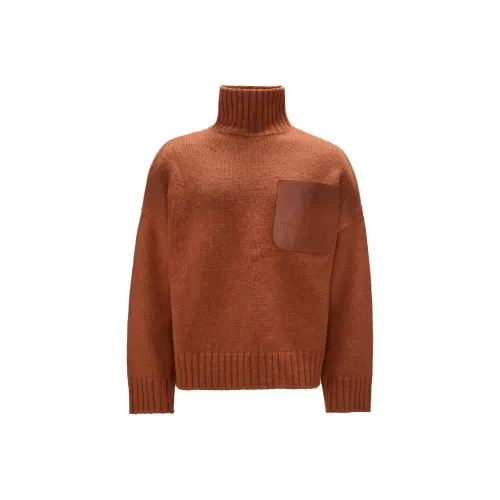 JW Anderson Табачный Мужской Свитеры