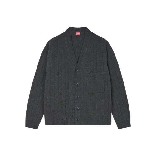 KENZO FW24 Свитер Мужской Lime Gray