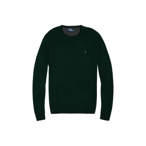 Polo Ralph Lauren Зеленые Мужские Свитера