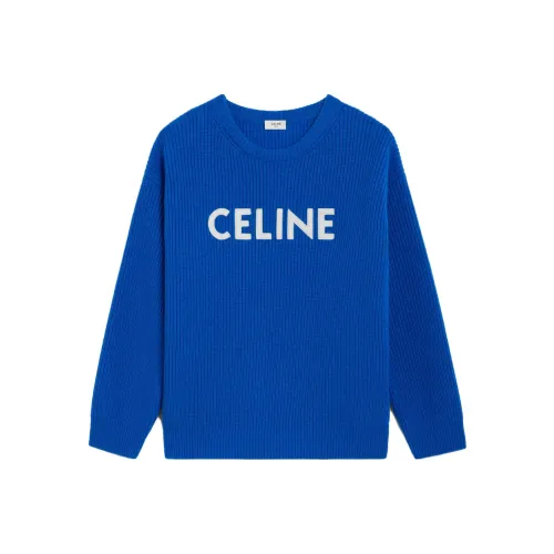 CELINE Мужские Синие Свитера