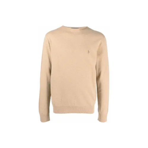 Polo Ralph Lauren FW21 Свитер Мужской Коричневый