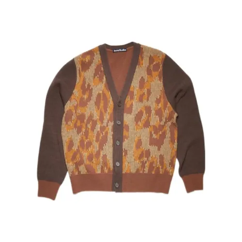 Acne Studios SS22 Свитер Унисекс Коричневый