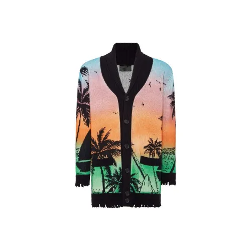 PHILIPP PLEIN Многоцветные Мужские Свитера