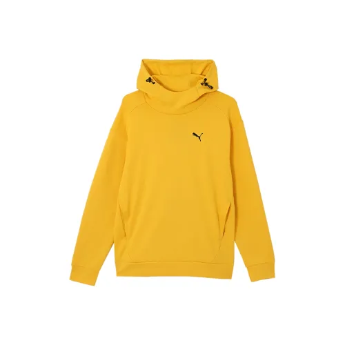 PUMA Желтые Мужские Свитшоты