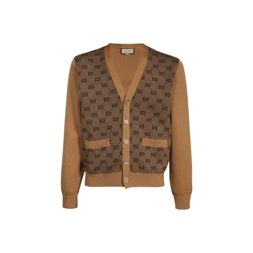 GUCCI Коричневые Мужские Свитера