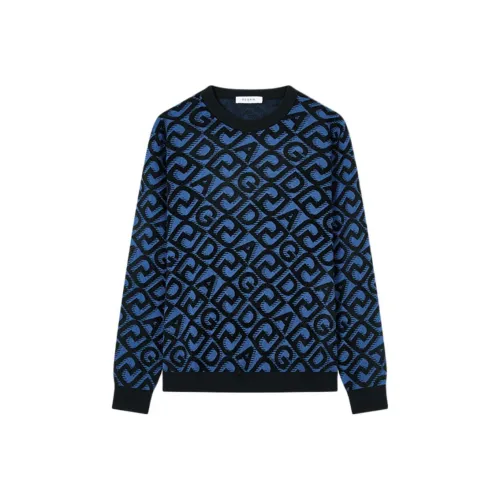 DEGAIA Мужские Свитера