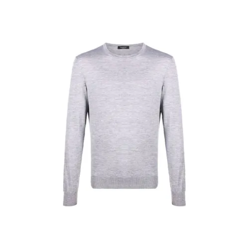 Ermenegildo Zegna Серый Мужской Кашемировые Свитера