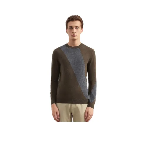 HECHTER Свитер Мужской Светлый Оливковый