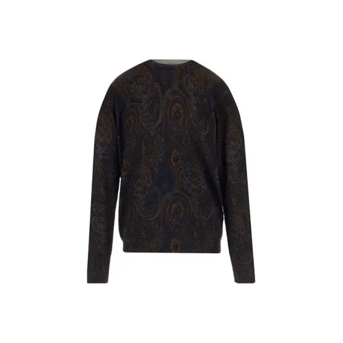 ETRO Коричневые Мужские Свитера