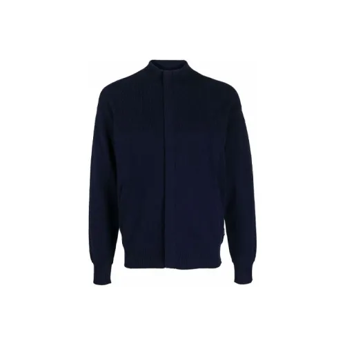 Ermenegildo Zegna Синий Мужской Кашемировые Свитера