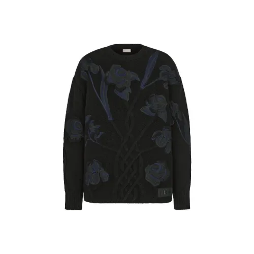 DIOR Quarterly New Products Черные Мужские Кашемировые Свитера