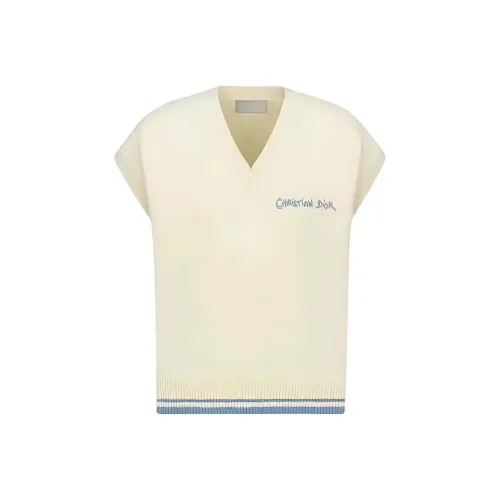 DIOR SS24 Свитер Мужской Синий Желтый