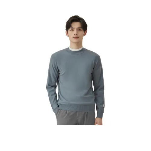 ZIOZIA Мужские Свитера