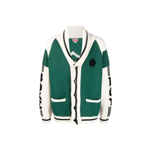 KENZO Зеленые Мужские Свитера