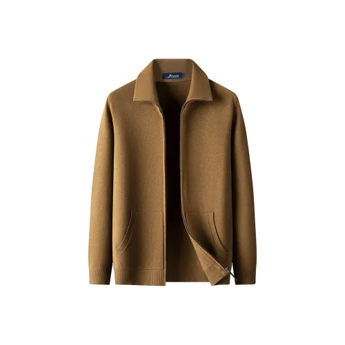 FORTEI Мужские Свитера