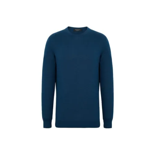 Ermenegildo Zegna Синий Мужской Кашемировые Свитера