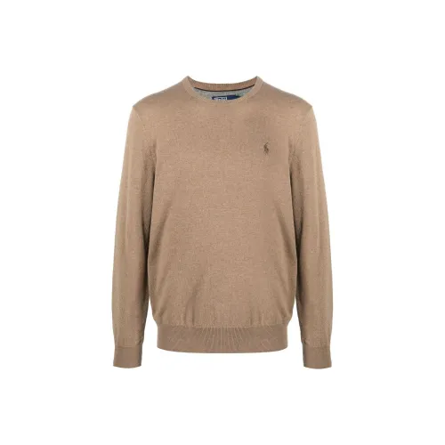 Polo Ralph Lauren FW22 Свитер Мужской Коричневый