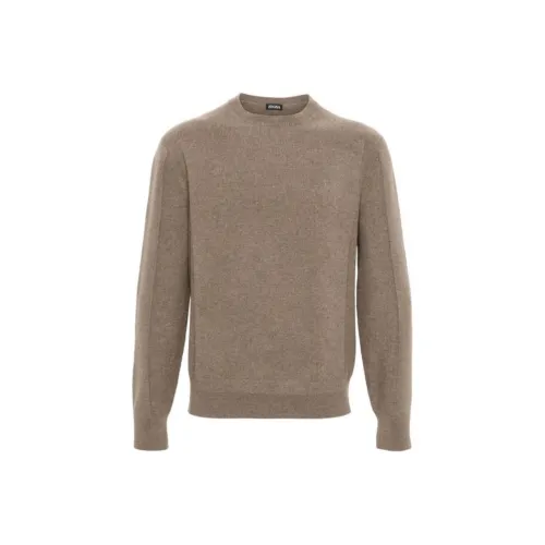Ermenegildo Zegna Коричневые Мужские Свитера