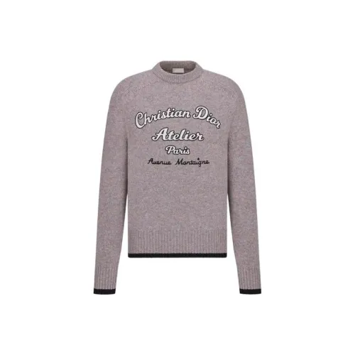 DIOR FW22 Трикотаж Мужской Светло-фиолетовый