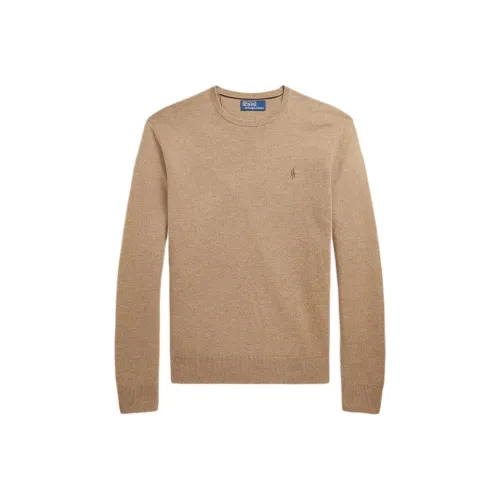 Polo Ralph Lauren Свитер Мужской Коричневый