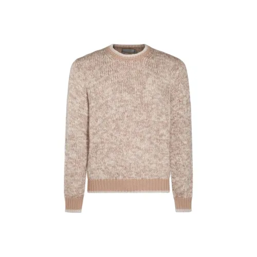 Canali Коричневый Мужской Свитеры