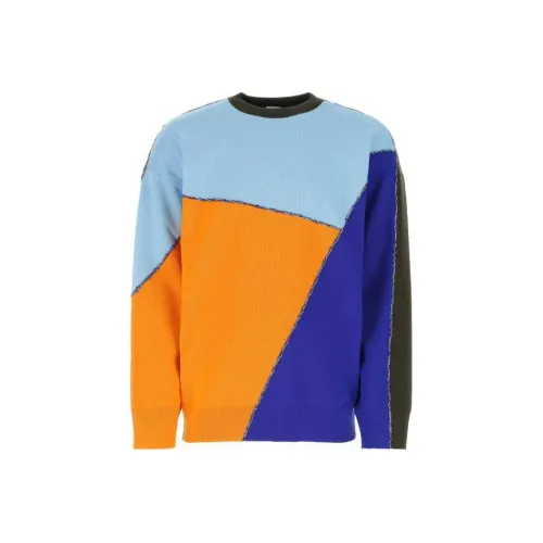 LOEWE Совместное издание Синий Мужской Свитеры