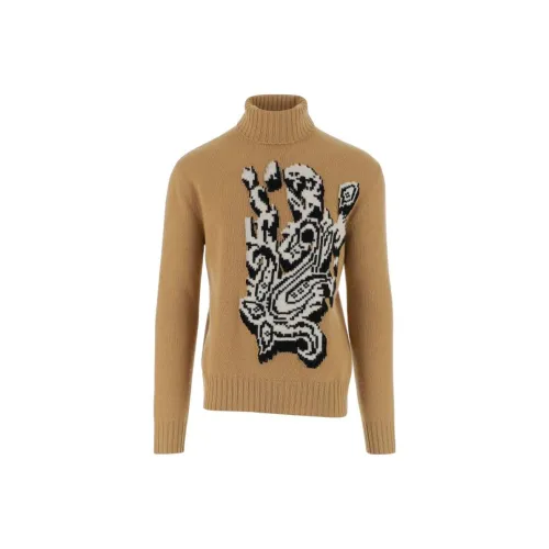 ETRO Желтые Мужские Свитера