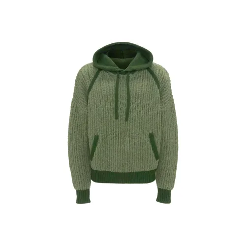 JW Anderson Оливково-зеленые Мужские Свитера