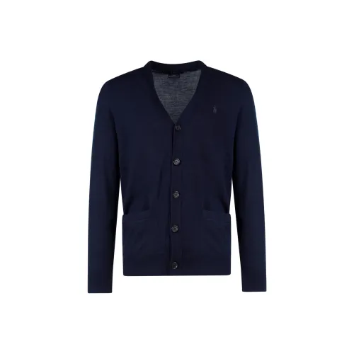 Polo Ralph Lauren Мужские Свитеры Синего Цвета