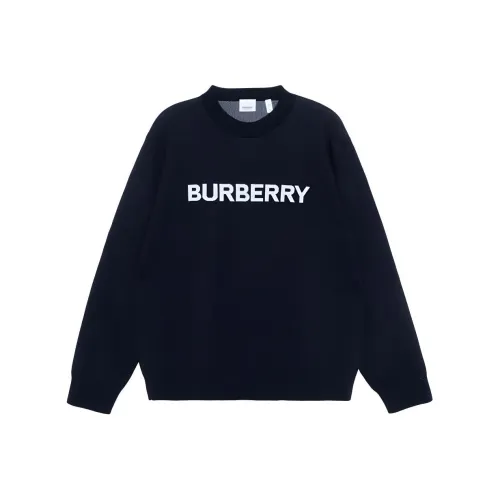 Burberry Темно-синие мужские свитеры
