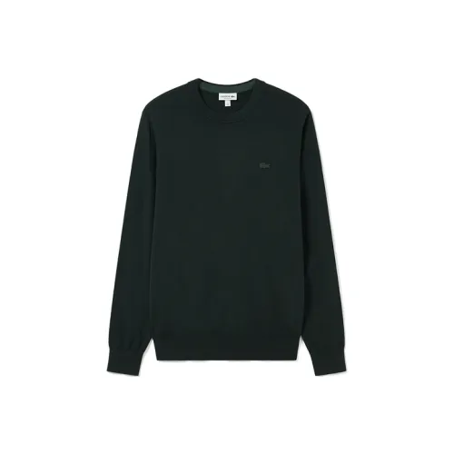 LACOSTE Collaboration Темно-зеленый Мужской Трикотаж