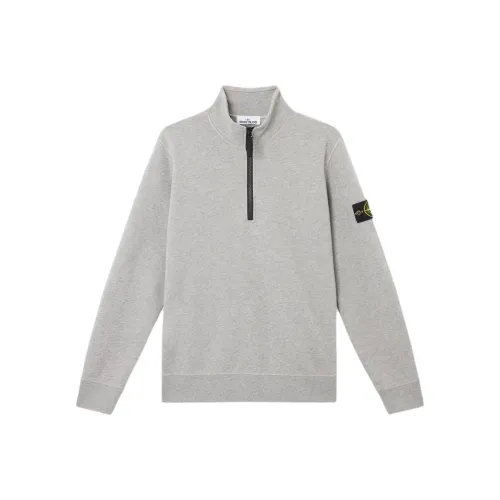 Stone Island SS25 Тауповый Мужской Свитшот