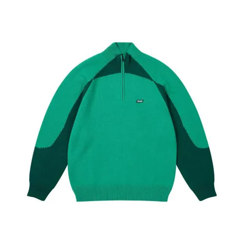 Дворцовый FW24 Зеленый Унисекс Свитеры