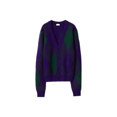 Burberry FW23 Трикотаж Мужской Королевский Фиолетовый