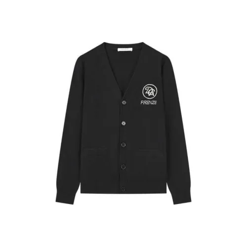 DEGAIA Мужские кашемировые свитеры