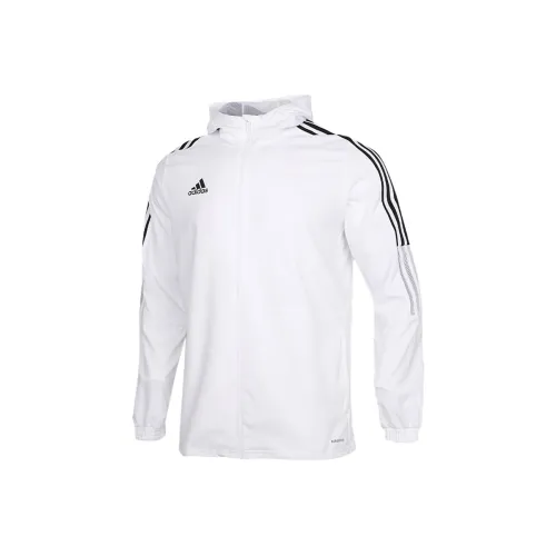 Adidas Белые Мужские Куртки