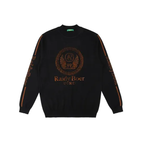 Raidy Boer Мужские Свитера